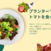 プランターでミニトマトを栽培する初心者