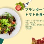プランターでミニトマトを栽培する初心者