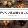 ホワイトリカーで果実酒を家で作る