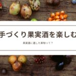 ホワイトリカーで果実酒を家で作る