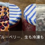 生も冷凍もブルーベリージャムの作り方