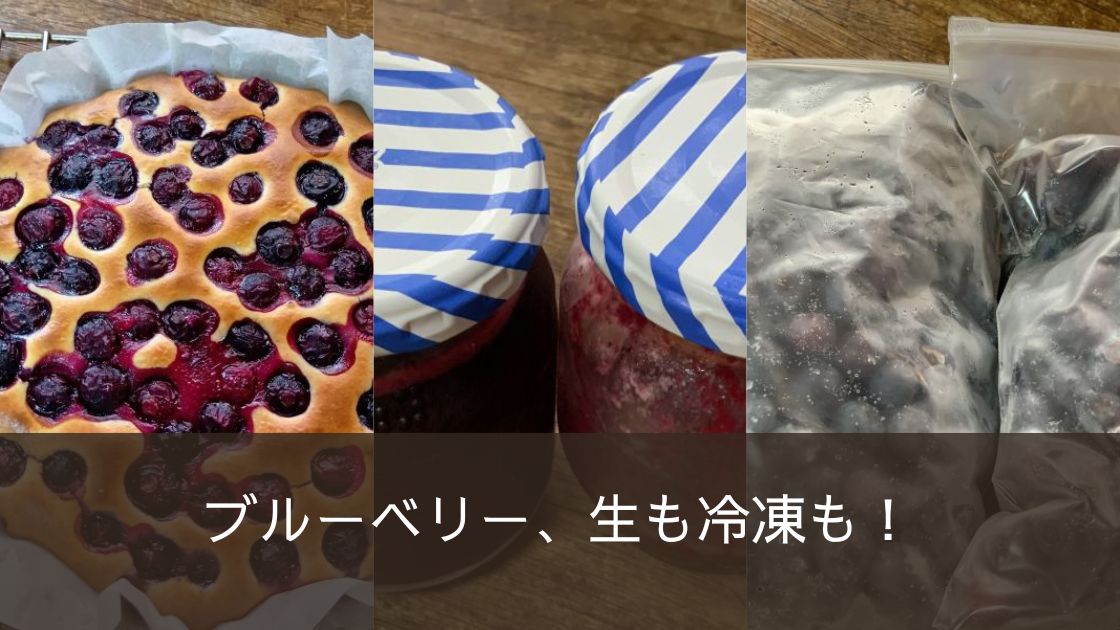 生も冷凍もブルーベリージャムの作り方