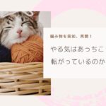 編み物再開した