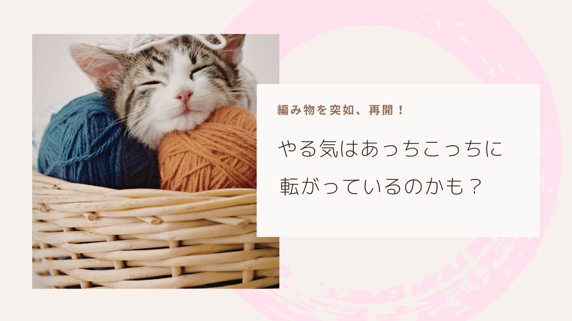 編み物再開した