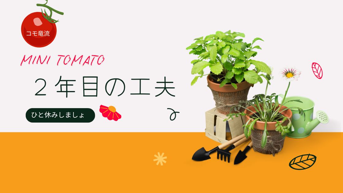 ２年目のミニトマト栽培